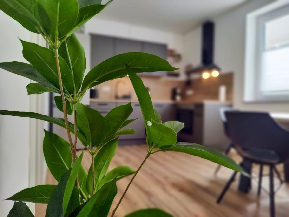Hygge Home - Mit Garten Und Stellplatz Fuer Feriengaeste-, Monteure / Netflix / 10 Min. Zur Sinsheim Therme Und Zur Autobahn Buitenkant foto