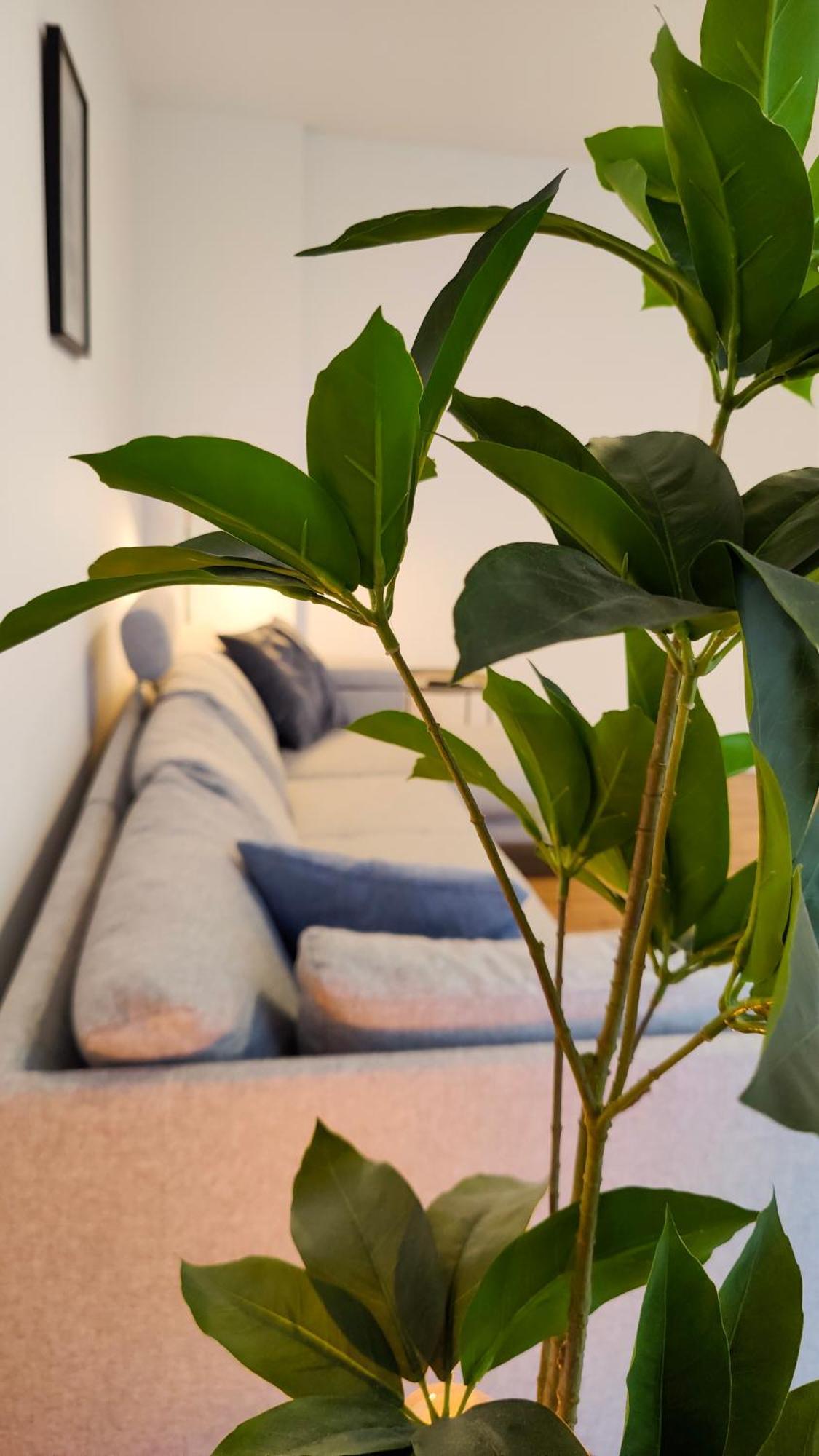 Hygge Home - Mit Garten Und Stellplatz Fuer Feriengaeste-, Monteure / Netflix / 10 Min. Zur Sinsheim Therme Und Zur Autobahn Buitenkant foto